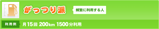 がっつり派 頻繁に利用する人